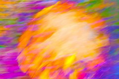 IL-SOGNO-DI-UNA-STELLA-DIMENTICATA