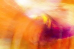 RI-CREAZIONE-SENZA-CREAZIONE