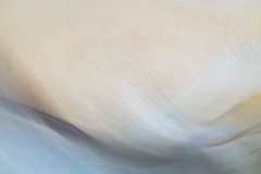 respiro