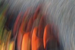 CAMMINIAMO