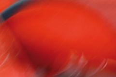 NOI
