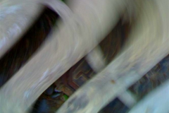 IL-VIAGGIO-NARRATIVO