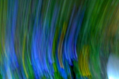 CONVERSAZIONE-CON-COLORE
